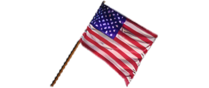 Image of Usaflag