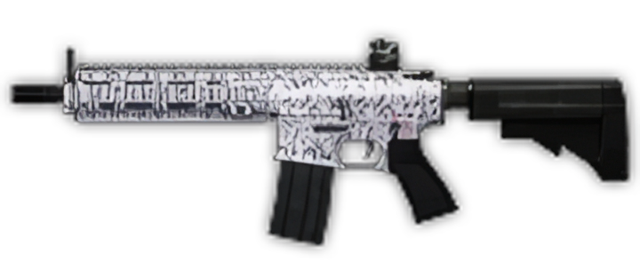 Image of hk416 winter