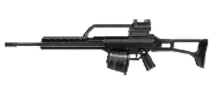 Image of G36 D