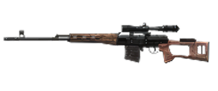 Image of Dragunov Svd