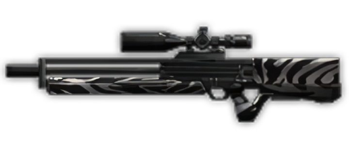 Image of wa2000 camo