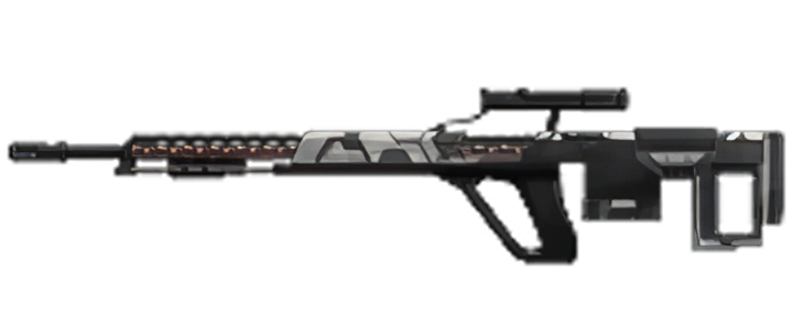 Image of dsr1tc leaf