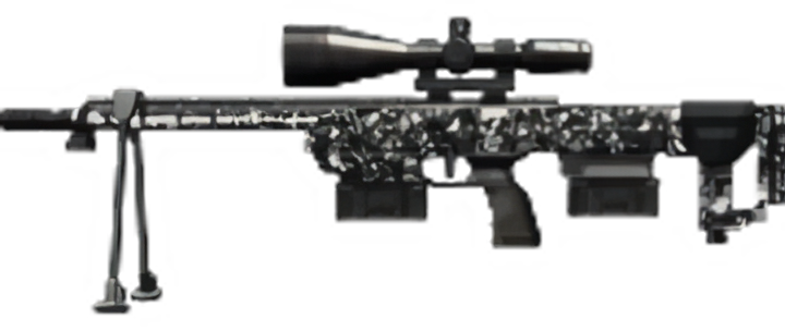 Image of dsr1 phantom