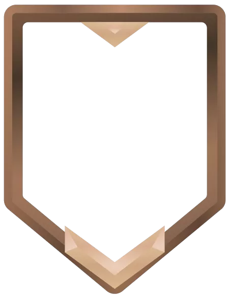 Icon of level 98 with bronze premium.